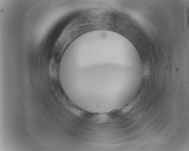 X0000075890431200610062057