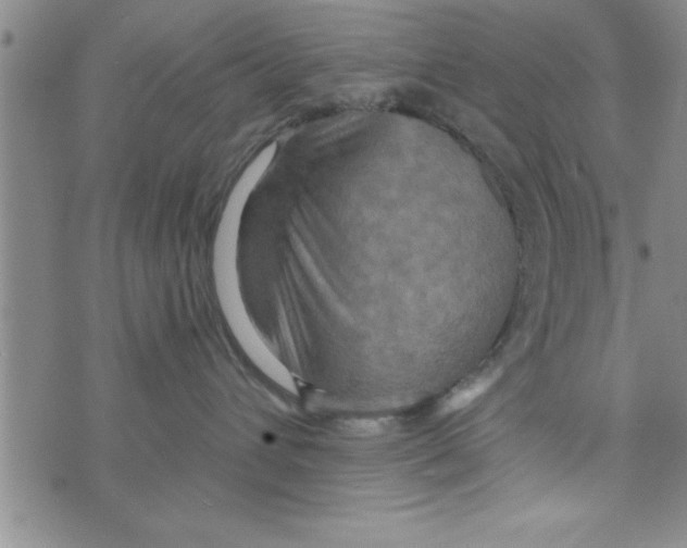 X0000075890432200610062057