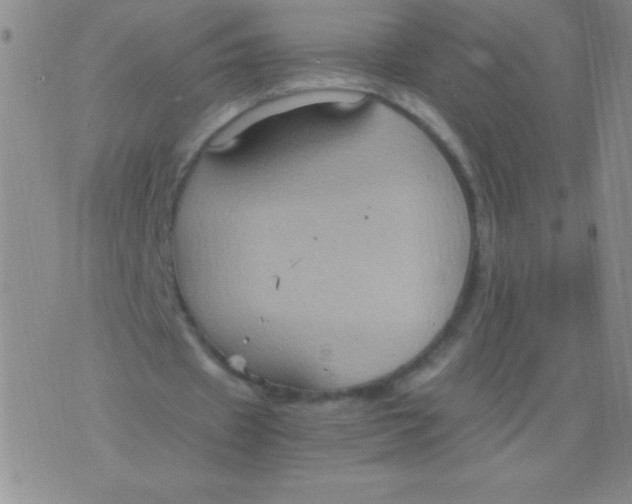 X0000075890433200610062057