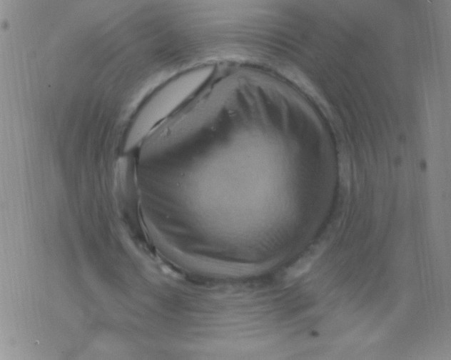 X0000075890434200610062057