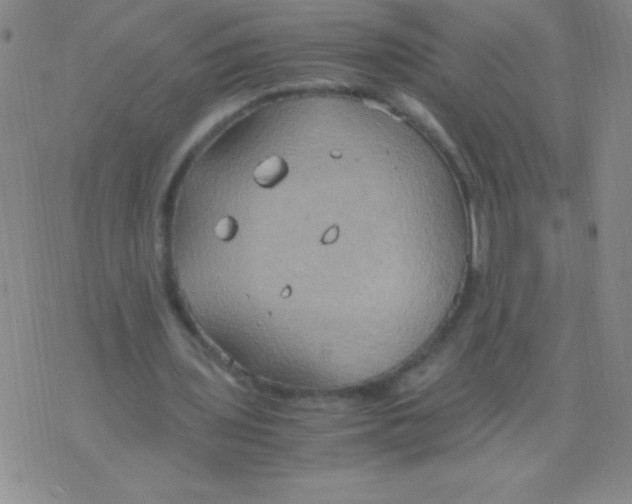 X0000075890435200610062057