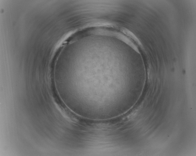 X0000075890436200610062057