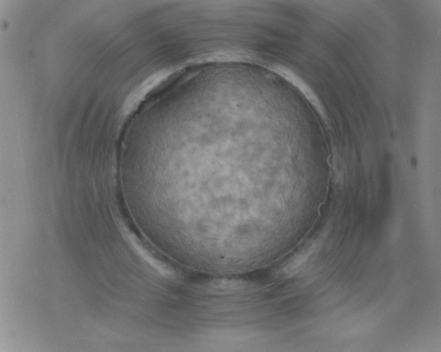 X0000075890437200610062057