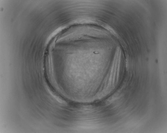 X0000075890438200610062057