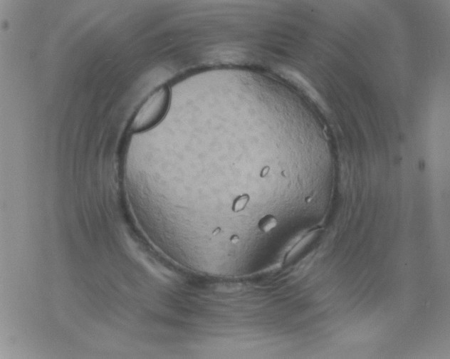 X0000075890439200610062057