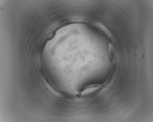 X0000075890441200610062057