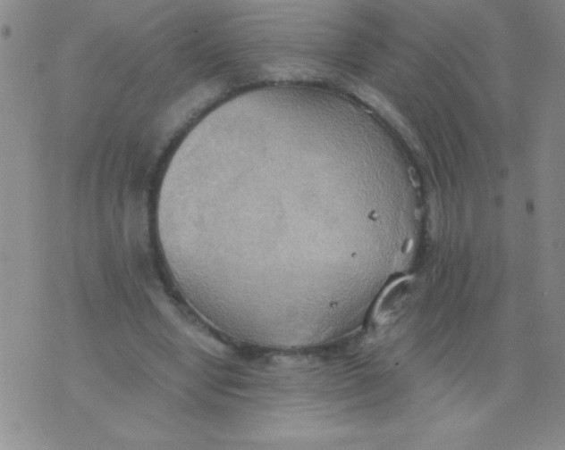 X0000075890442200610062057