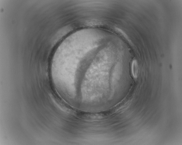 X0000075890443200610062057