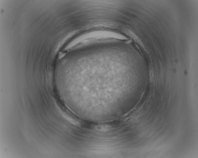 X0000075890444200610062057