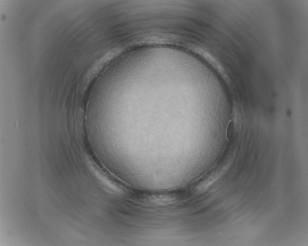 X0000075890445200610062057