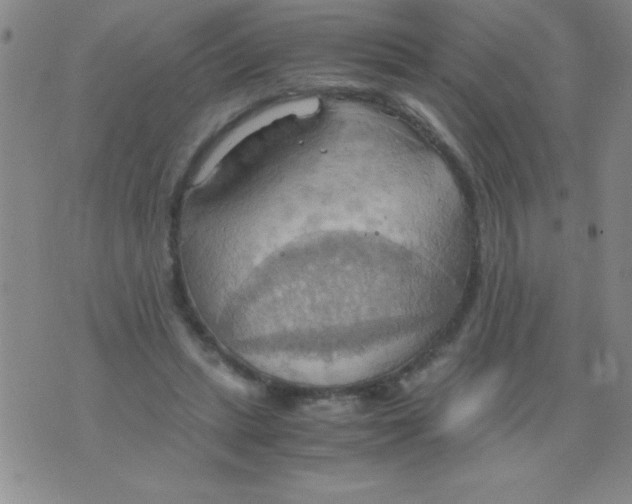 X0000075890447200610062057