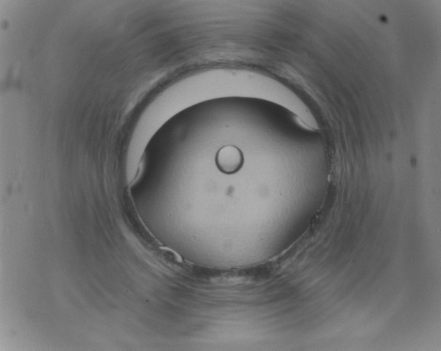 X0000075890448200610062057