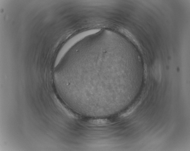 X0000075890449200610062057