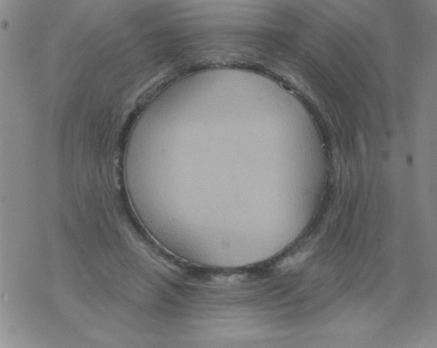 X0000075890450200610062057