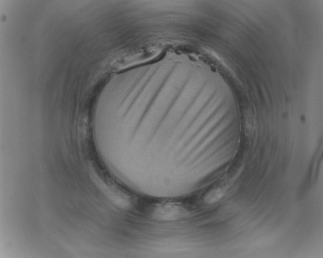 X0000075890451200610062057