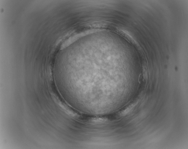 X0000075890453200610062057