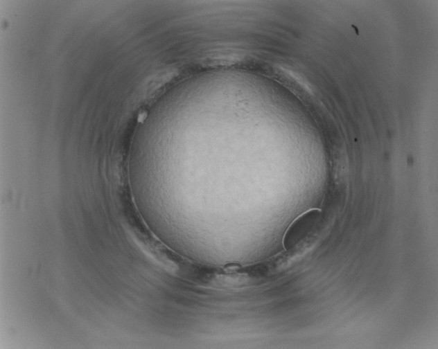 X0000075890455200610062057