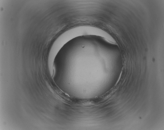 X0000075890456200610062057