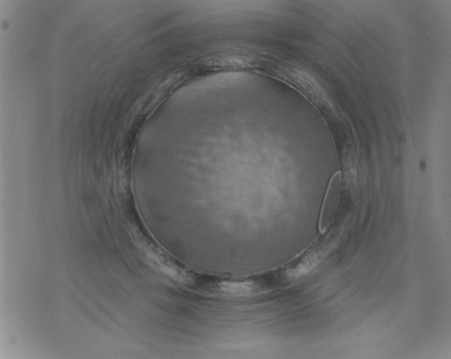 X0000075890457200610062057