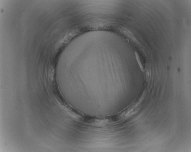 X0000075890458200610062057