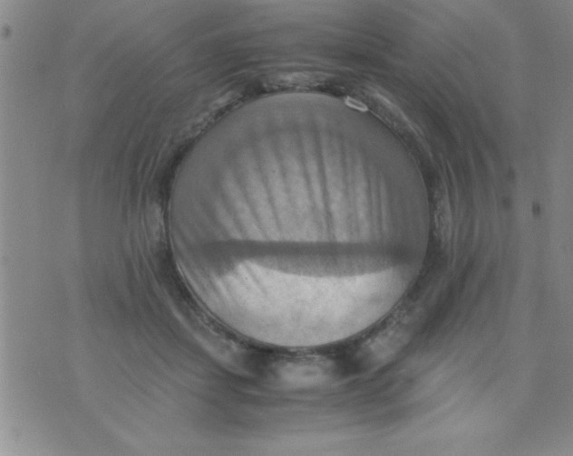 X0000075890459200610062057