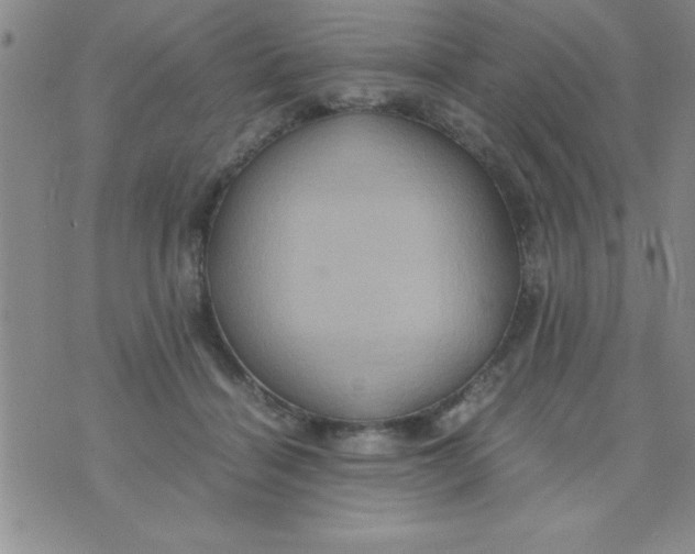 X0000075890460200610062057