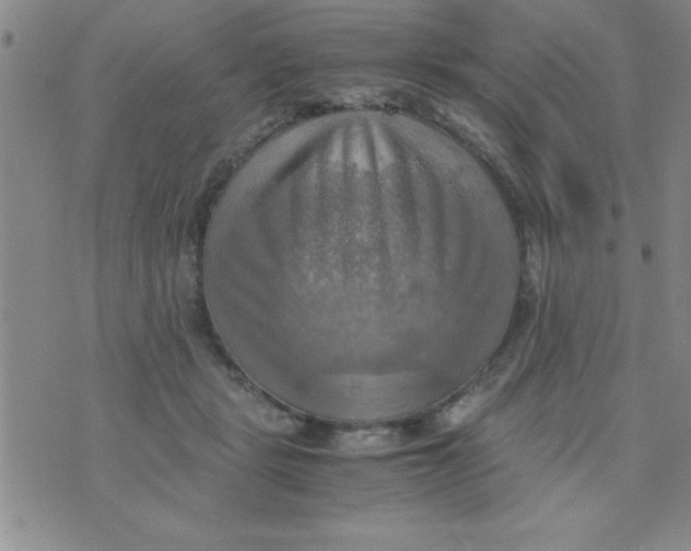 X0000075890461200610062057