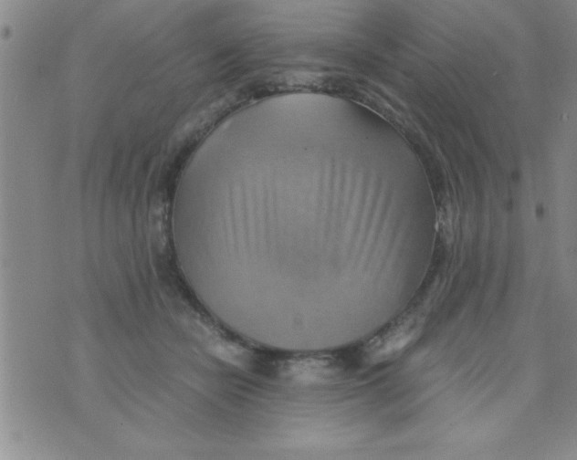 X0000075890462200610062057