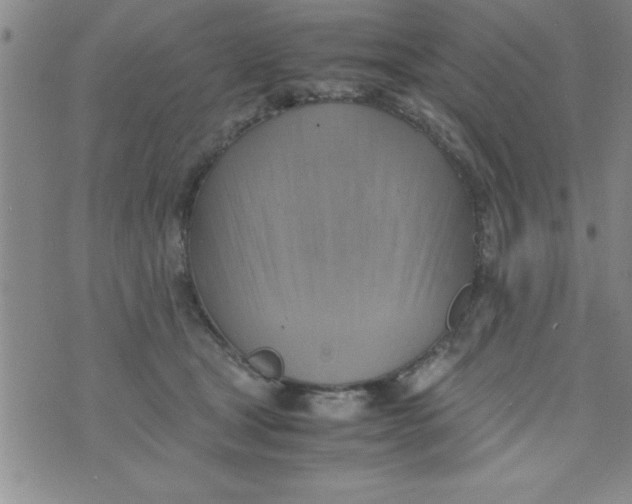 X0000075890465200610062057