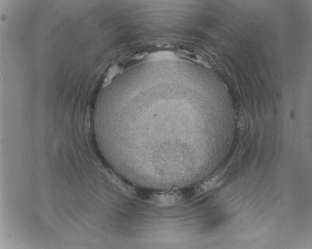 X0000075890466200610062057