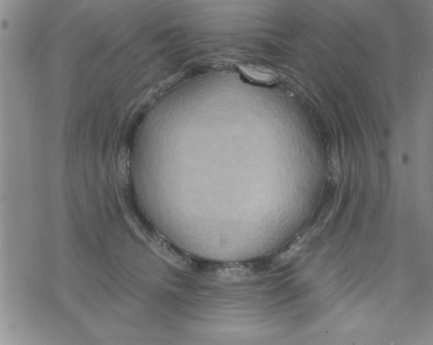 X0000075890468200610062057