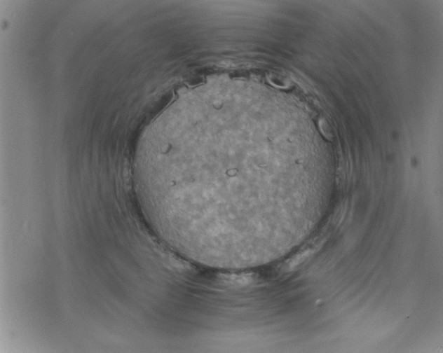 X0000075890469200610062057