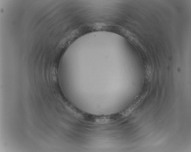 X0000075890470200610062057