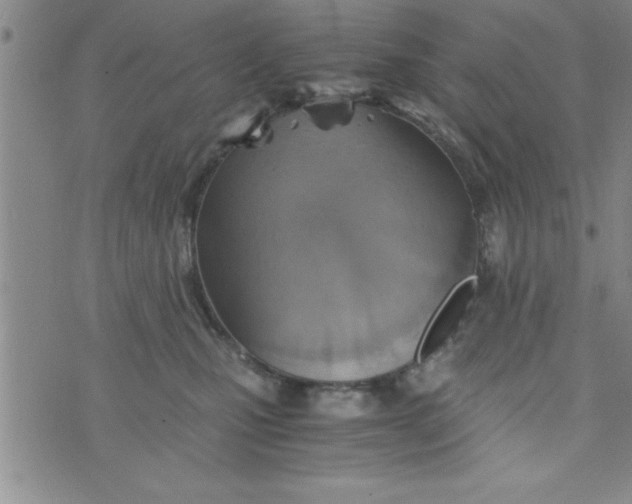 X0000075890471200610062057