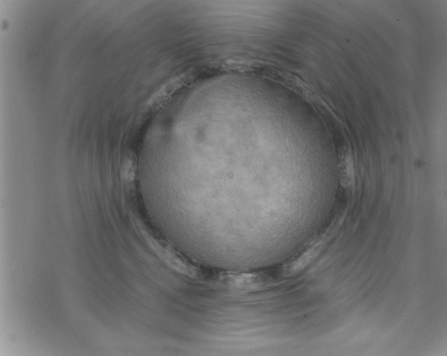 X0000075890472200610062057