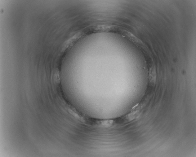 X0000075890474200610062057