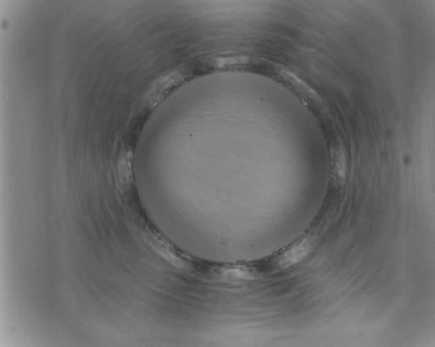 X0000075890475200610062057