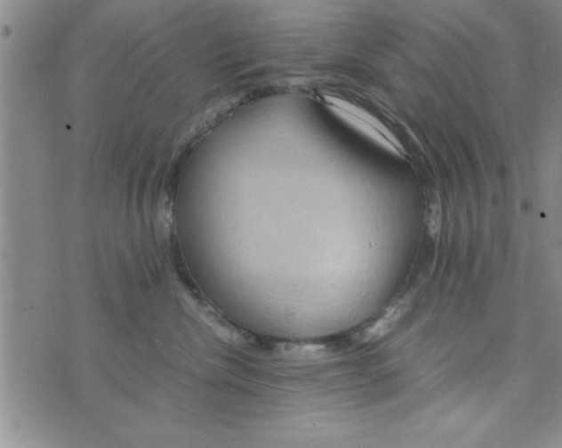 X0000075890476200610062057