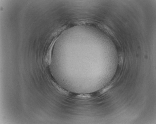 X0000075890477200610062057