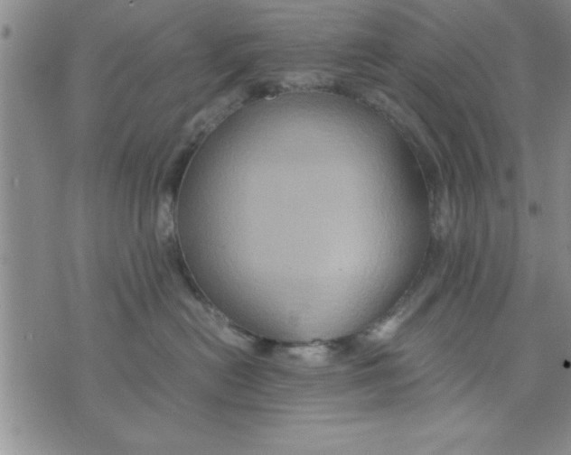 X0000075890478200610062057