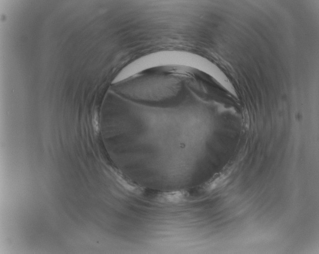 X0000075890479200610062057