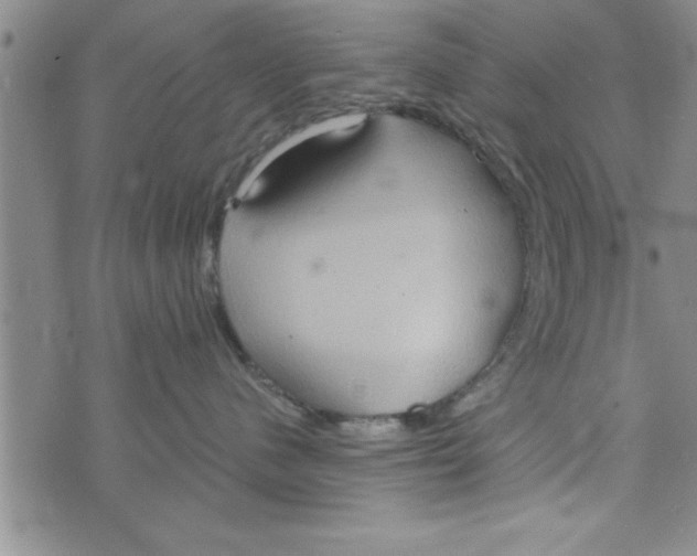 X0000075890480200610062057