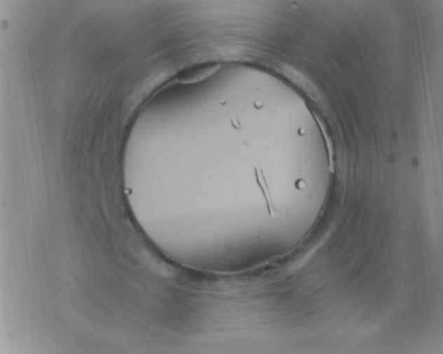 X0000075890481200610062056