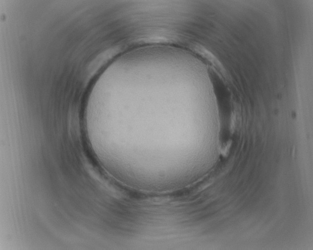 X0000075890482200610062056