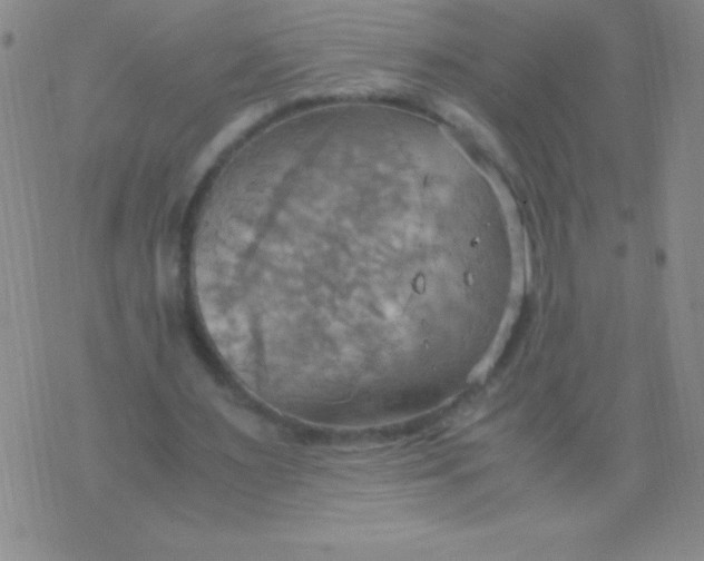 X0000075890483200610062056