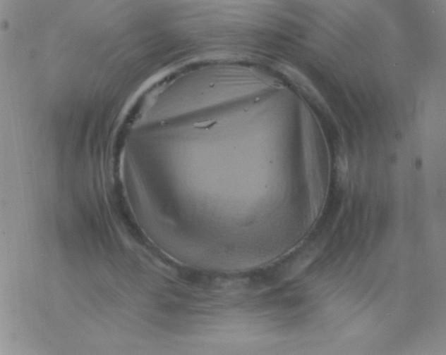 X0000075890484200610062056