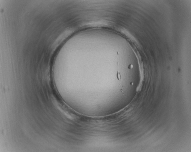 X0000075890486200610062056