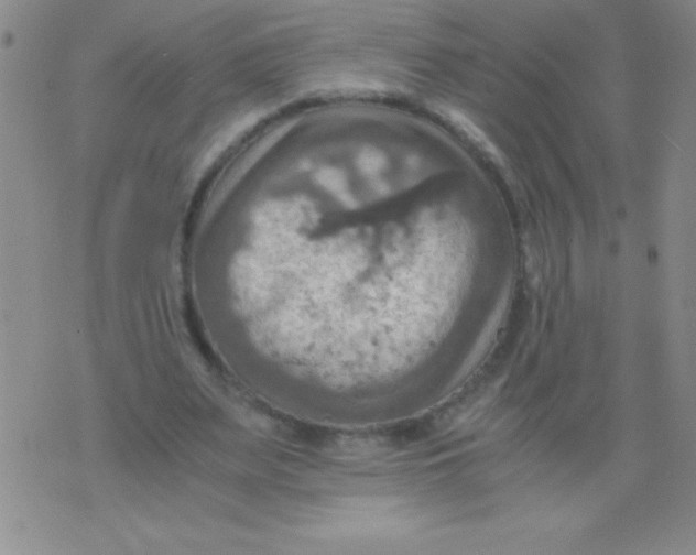 X0000075890487200610062056