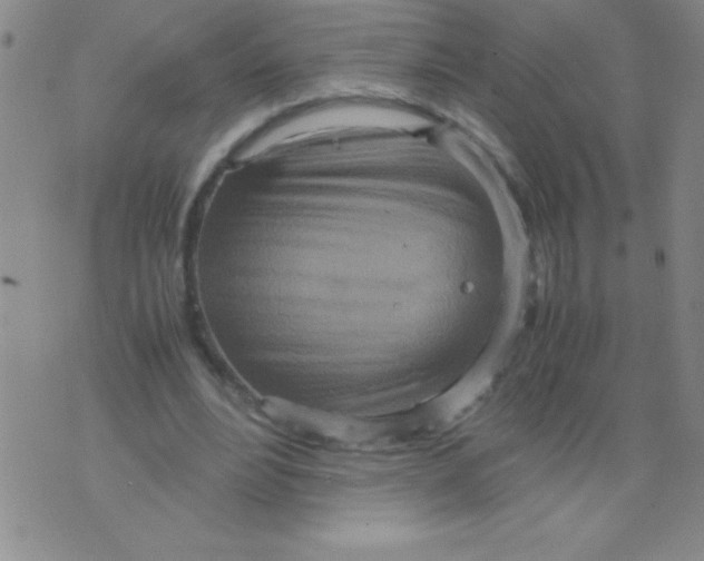 X0000075890488200610062056