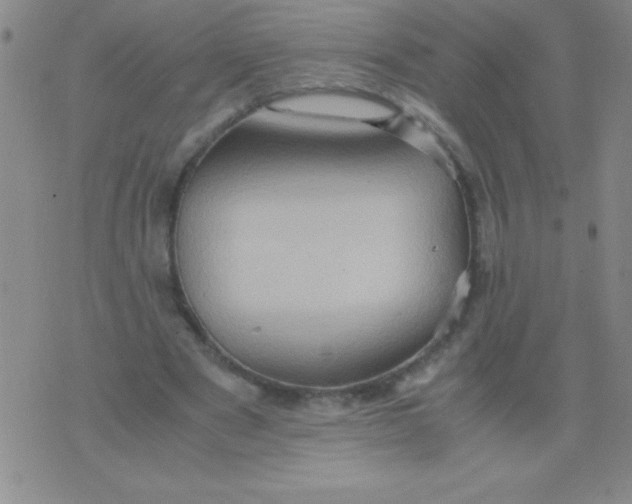 X0000075890489200610062056